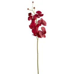 Best Pirce ✨ 6 Pack: Red Orchid Stem by Ashland® 🔔