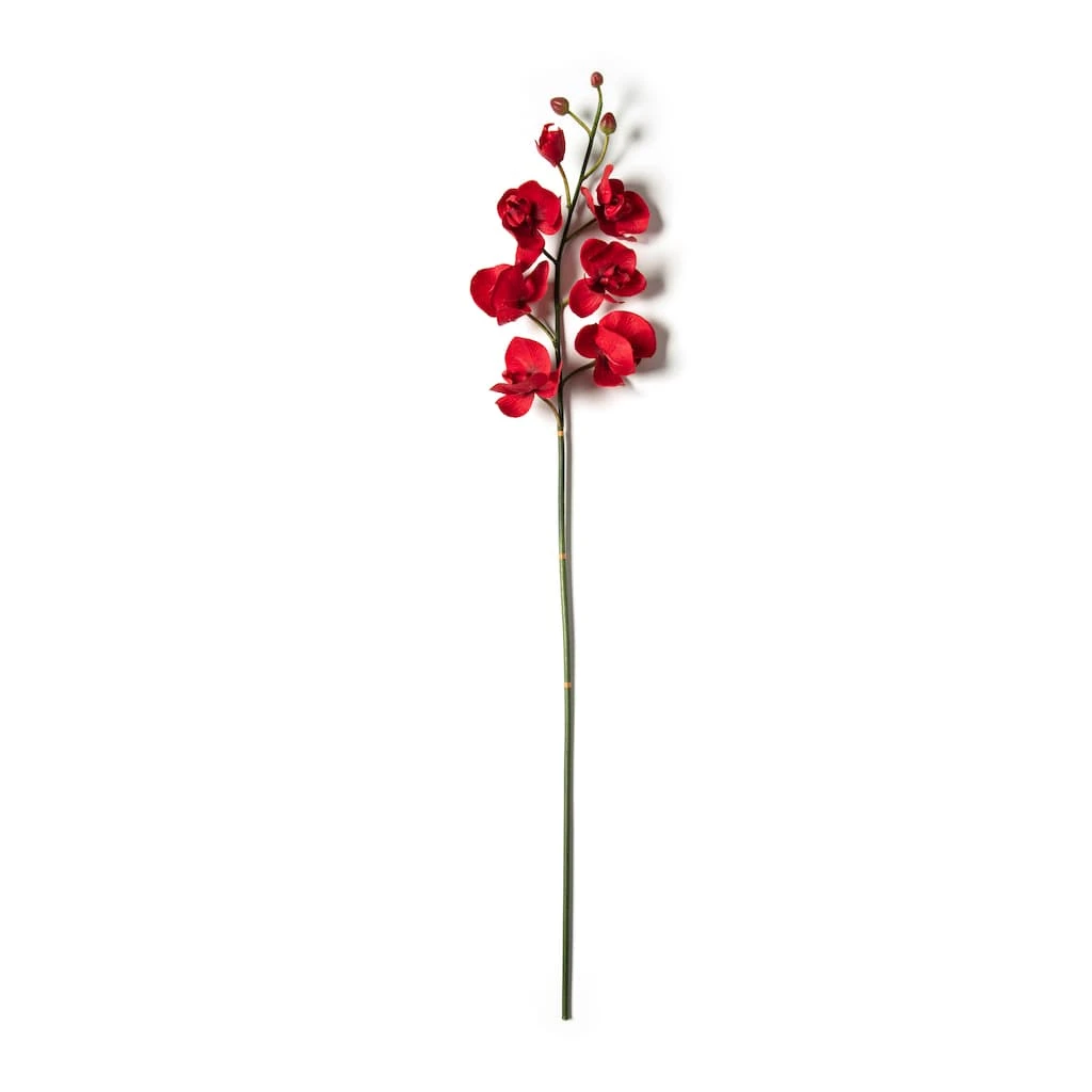 Best Pirce ✨ 6 Pack: Red Orchid Stem by Ashland® 🔔 4 Best Pirce ✨ 6 Pack: Red Orchid Stem by Ashland® 🔔 - Image 2