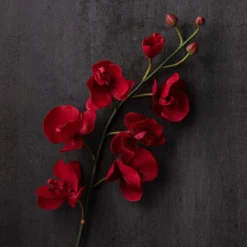 Best Pirce ✨ 6 Pack: Red Orchid Stem by Ashland® 🔔 9 Best Pirce ✨ 6 Pack: Red Orchid Stem by Ashland® 🔔 -Outlet Yuletide Joy Store MP230911 22