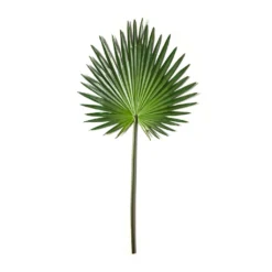 Flash Sale ✔️ 6 Pack: Green Fan Palm Stem by Ashland® ✔️ -Outlet Yuletide Joy Store MP230923 21