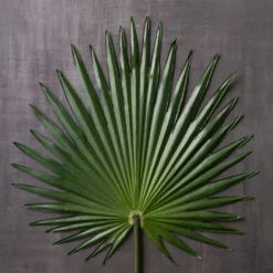 Flash Sale ✔️ 6 Pack: Green Fan Palm Stem by Ashland® ✔️ -Outlet Yuletide Joy Store MP230923 22