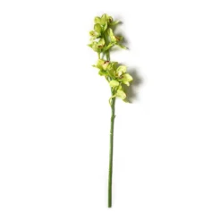 Cheapest π 8 Pack: Pale Green Boat Orchid Stem by Ashland® π 8 Cheapest π 8 Pack: Pale Green Boat Orchid Stem by Ashland® π -Outlet Yuletide Joy Store MP230928 21