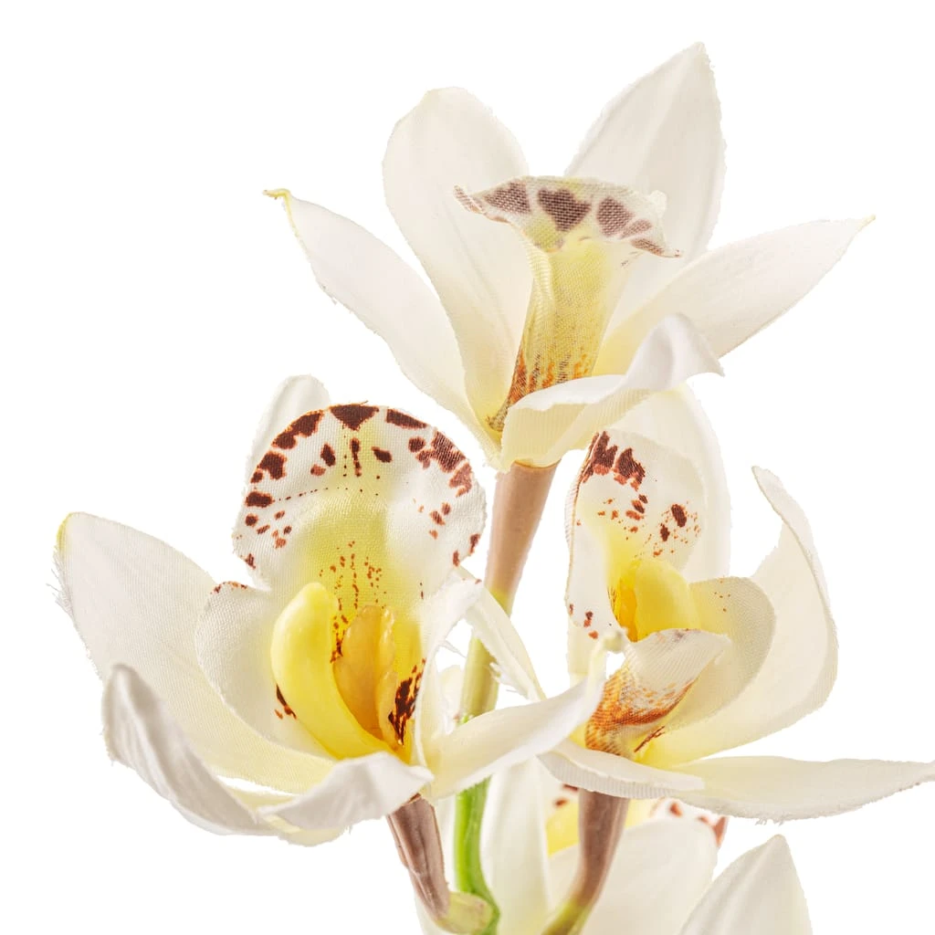 Deals 🥰 8 Pack: Cream Boat Orchid Stem by Ashland® 👏 4 Deals 🥰 8 Pack: Cream Boat Orchid Stem by Ashland® 👏 - Image 2