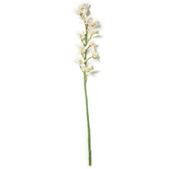 Deals 🥰 8 Pack: Cream Boat Orchid Stem by Ashland® 👏 9 Deals 🥰 8 Pack: Cream Boat Orchid Stem by Ashland® 👏 -Outlet Yuletide Joy Store MP230929 21