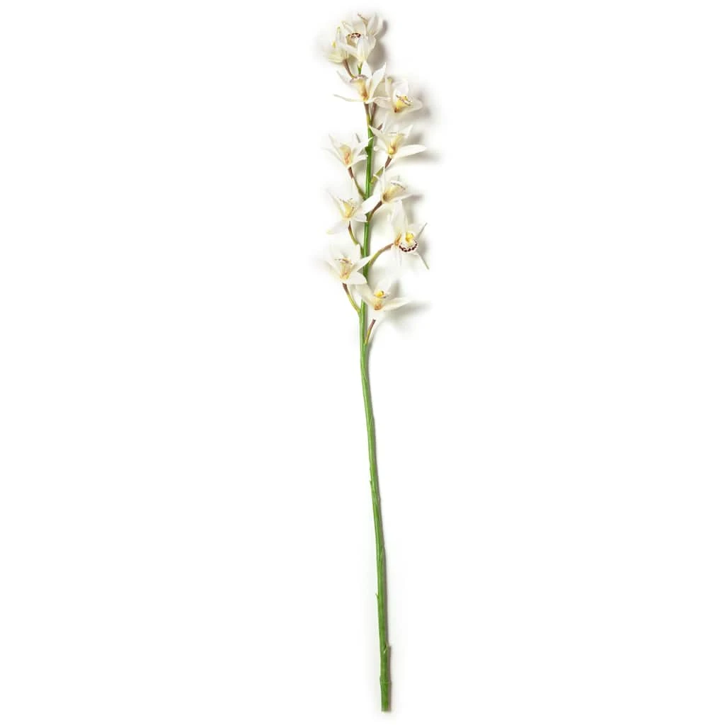 Deals 🥰 8 Pack: Cream Boat Orchid Stem by Ashland® 👏 6 Deals 🥰 8 Pack: Cream Boat Orchid Stem by Ashland® 👏 - Image 4