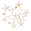 Best reviews of ⭐ 6 Pack: Starfish & Shells Garland by Ashland® ❤️ -Outlet Yuletide Joy Store MP233099 31