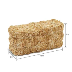 Deals π 12 Pack: 13" Decorative Straw Bale by Ashland® β 13 Deals π 12 Pack: 13" Decorative Straw Bale by Ashland® β -Outlet Yuletide Joy Store MP234532 2