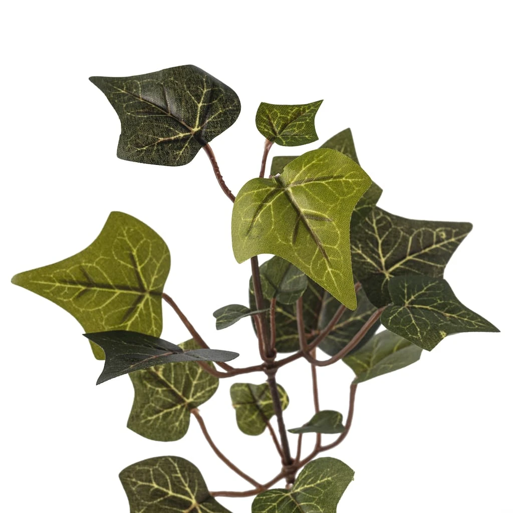 Cheap 😀 24 Pack: Floral Essentials English Ivy Spray by Ashland® ⭐ 5 Cheap 😀 24 Pack: Floral Essentials English Ivy Spray by Ashland® ⭐ - Image 3