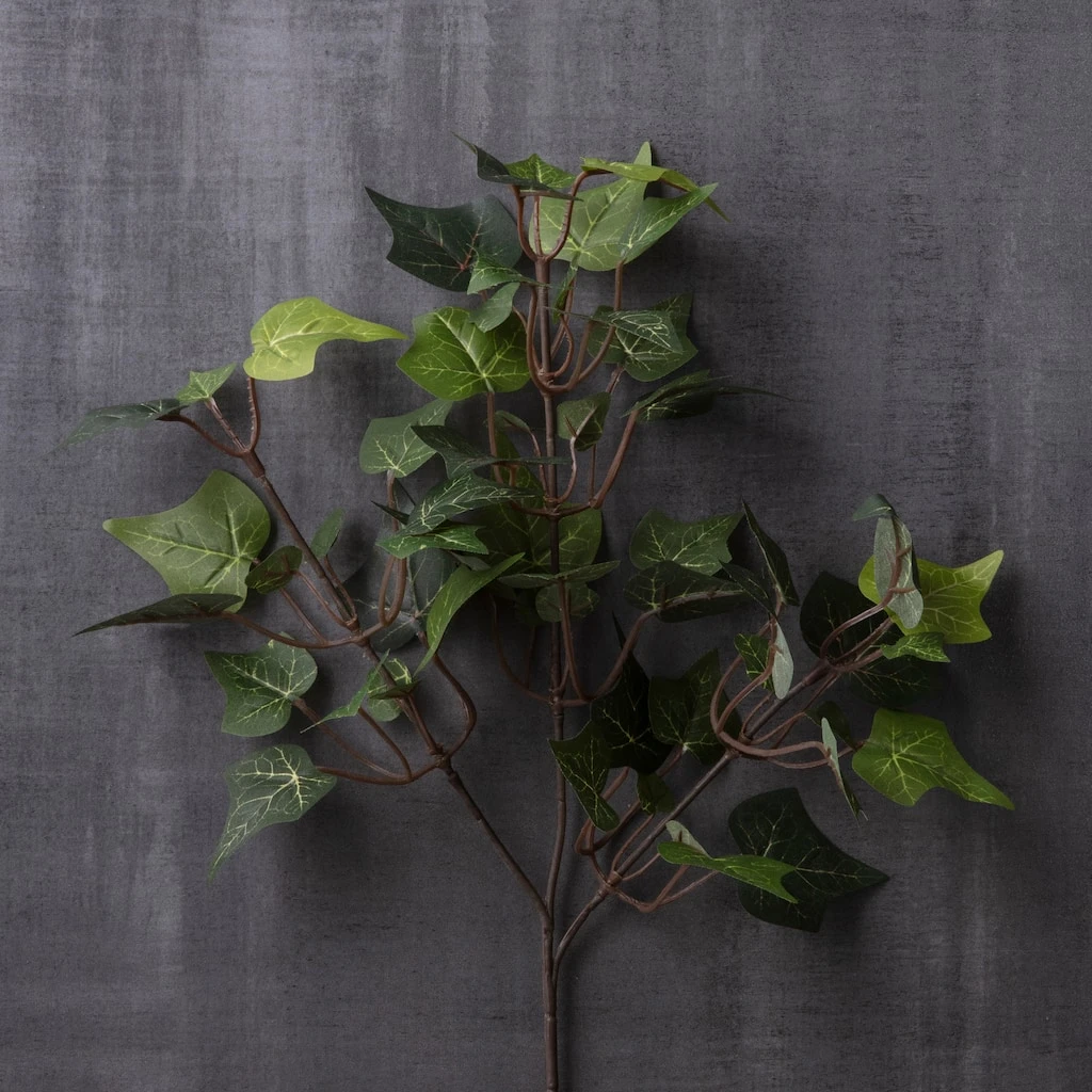 Cheap 😀 24 Pack: Floral Essentials English Ivy Spray by Ashland® ⭐ 4 Cheap 😀 24 Pack: Floral Essentials English Ivy Spray by Ashland® ⭐ - Image 2