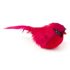 Discount ✔️ 24 Pack: Small Cardinal Bird by Ashland® 🤩 -Outlet Yuletide Joy Store MP239959 21
