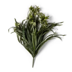 Promo β 12 Pack: Green Spider Bush by Ashland® π 8 Promo β 12 Pack: Green Spider Bush by Ashland® π -Outlet Yuletide Joy Store MP240812 21