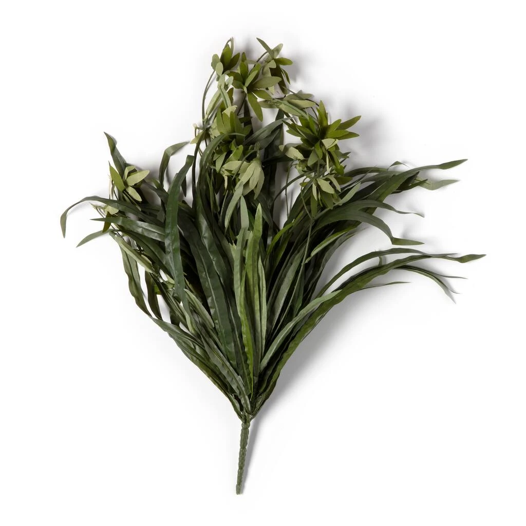 Promo β 12 Pack: Green Spider Bush by Ashland® π 5 Promo β 12 Pack: Green Spider Bush by Ashland® π - Image 3