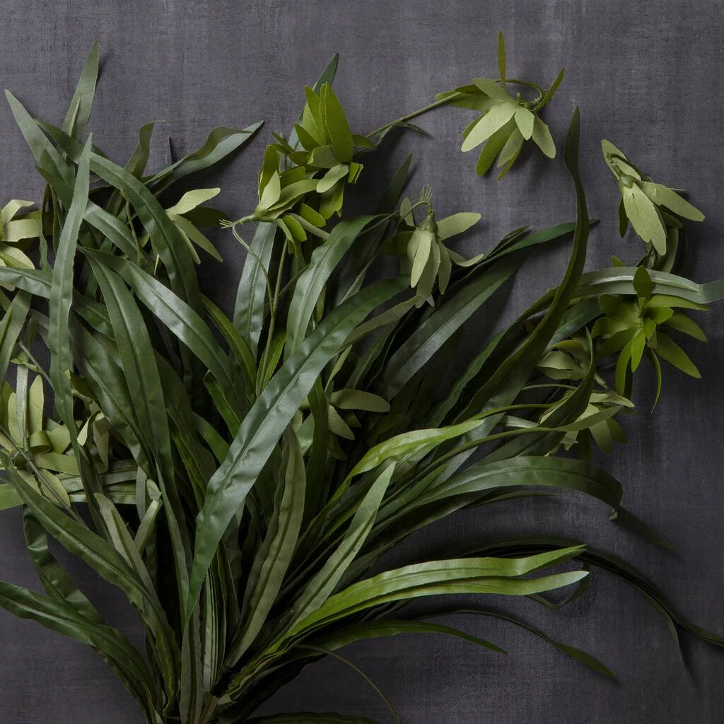 Promo β 12 Pack: Green Spider Bush by Ashland® π 6 Promo β 12 Pack: Green Spider Bush by Ashland® π - Image 4