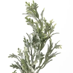 Discount ⌛ 16 Pack: Dusty Miller Stem by Ashland® 🤩 -Outlet Yuletide Joy Store MP262981 20