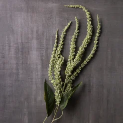 Brand new 👏 12 Pack: Green Amaranthus Stem by Ashland® 🎉 -Outlet Yuletide Joy Store MP263015 22