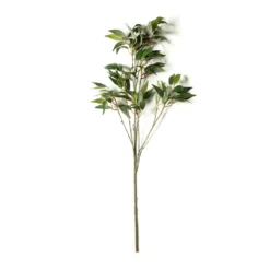 Best Sale ⭐ 12 Pack: Green Osmanthus Stem by Ashland® 😍 -Outlet Yuletide Joy Store MP263723 21