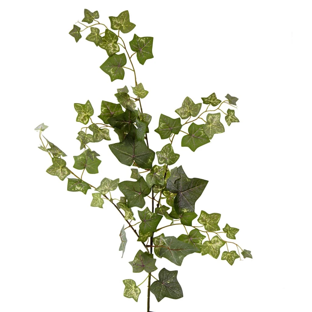 Cheap π 12 Pack: Green English Ivy Spray by Ashland® π 3 Cheap π 12 Pack: Green English Ivy Spray by Ashland® π