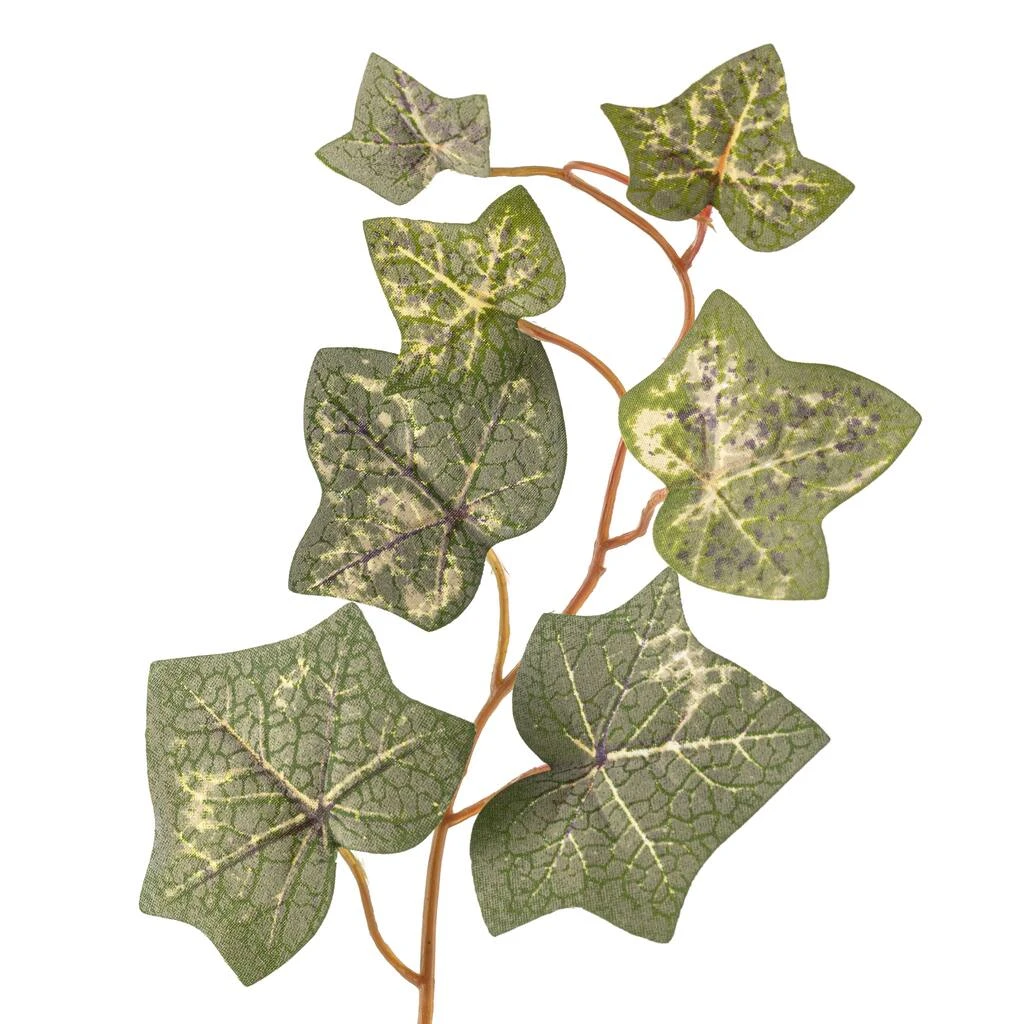 Cheap π 12 Pack: Green English Ivy Spray by Ashland® π 5 Cheap π 12 Pack: Green English Ivy Spray by Ashland® π - Image 3