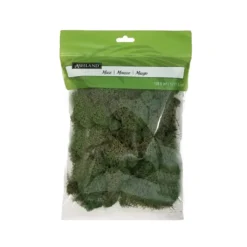 Wholesale 🛒 12 Pack: Basil Green Reindeer Moss by Ashland® ⌛