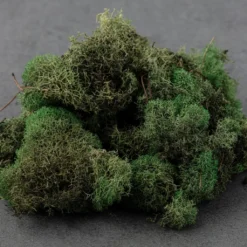 Wholesale 🛒 12 Pack: Basil Green Reindeer Moss by Ashland® ⌛ -Outlet Yuletide Joy Store MP284152 21