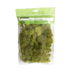 Cheap 🎉 12 Pack: Spring Green Reindeer Moss by Ashland® ❤️