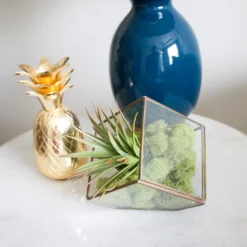 Cheap 🎉 12 Pack: Spring Green Reindeer Moss by Ashland® ❤️ -Outlet Yuletide Joy Store MP284153 4