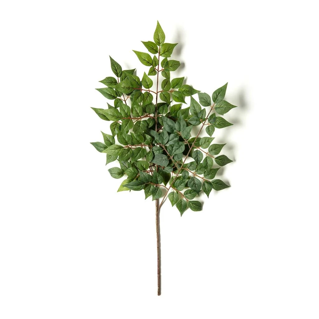 Coupon ❤️ 24 Pack: Green China Dollar Spray by Ashland® ✨ 5 Coupon ❤️ 24 Pack: Green China Dollar Spray by Ashland® ✨ - Image 3