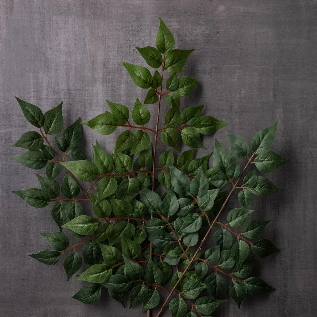 Coupon ❤️ 24 Pack: Green China Dollar Spray by Ashland® ✨ 6 Coupon ❤️ 24 Pack: Green China Dollar Spray by Ashland® ✨ - Image 4