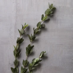 Hot Sale 🛒 12 Pack: Green Huckleberry Leaf Spray by Ashland® ⭐ -Outlet Yuletide Joy Store MP292555 22