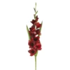 Promo 🤩 12 Pack: Dark Red Gladiolus Stem by Ashland® ❤️ -Outlet Yuletide Joy Store MP297027 1