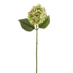 Promo ❤️ 12 Pack: Green Hydrangea Stem by Ashland® 👏