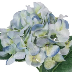 Budget 🤩 12 Pack: Blue & Green Hydrangea Stem by Ashland® 🌟 -Outlet Yuletide Joy Store MP297077 2