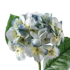 Budget 🤩 12 Pack: Blue & Green Hydrangea Stem by Ashland® 🌟 -Outlet Yuletide Joy Store MP297077 20