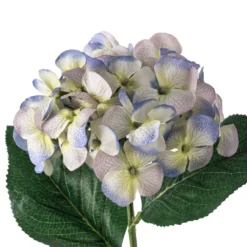 Budget 👏 12 Pack: Indigo & Green Hydrangea Stem by Ashland® 🌟 -Outlet Yuletide Joy Store MP297095 20