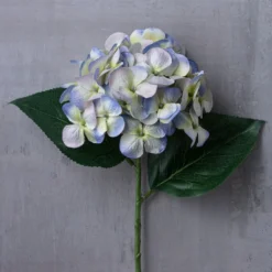 Budget 👏 12 Pack: Indigo & Green Hydrangea Stem by Ashland® 🌟 -Outlet Yuletide Joy Store MP297095 22