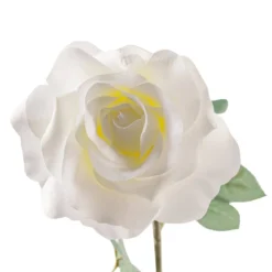 Best reviews of 🔔 16 Pack: Ivory Princess Rose Stem by Ashland® 👍 -Outlet Yuletide Joy Store MP297096 20