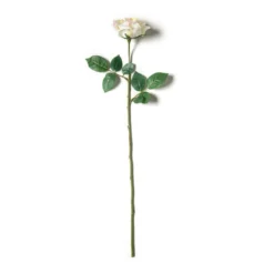 Best reviews of π 12 Pack: White Princess Rose Stem by Ashland® π 9 Best reviews of π 12 Pack: White Princess Rose Stem by Ashland® π -Outlet Yuletide Joy Store MP297097 21