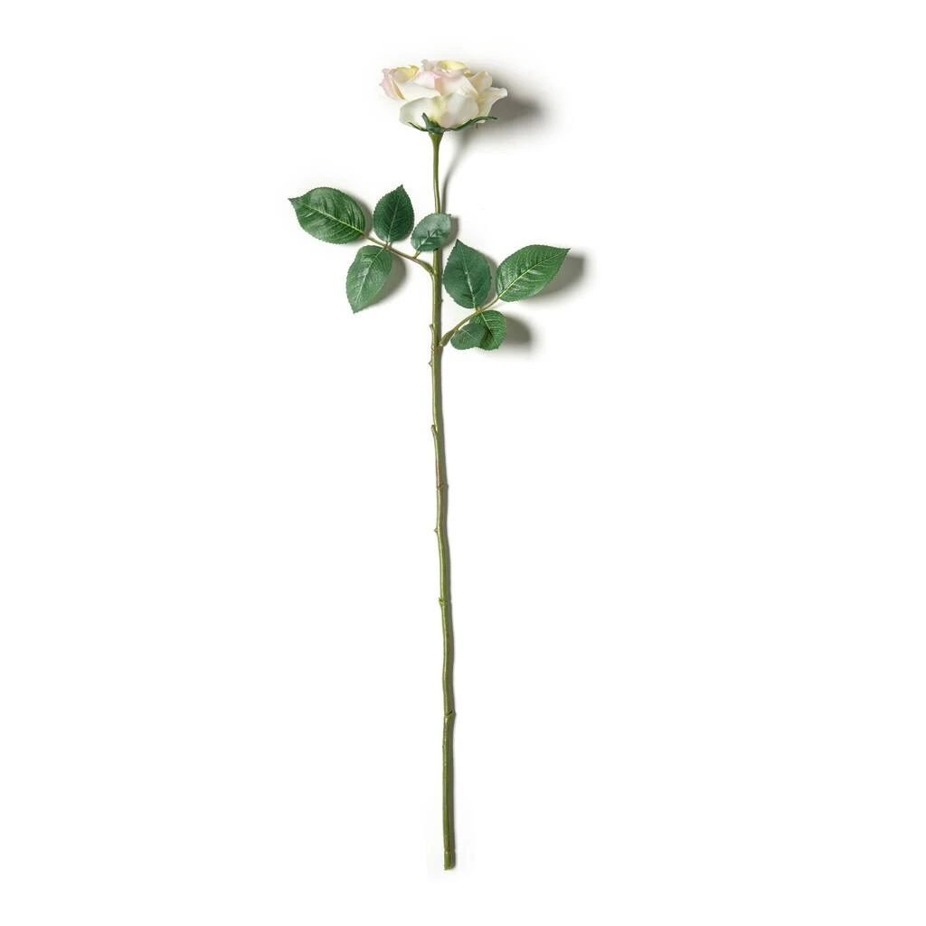 Best reviews of π 12 Pack: White Princess Rose Stem by Ashland® π 6 Best reviews of π 12 Pack: White Princess Rose Stem by Ashland® π - Image 4