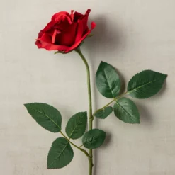 Best reviews of ✔️ 12 Pack: Dark Red Princess Rose by Ashland® ⭐ -Outlet Yuletide Joy Store MP297101 25