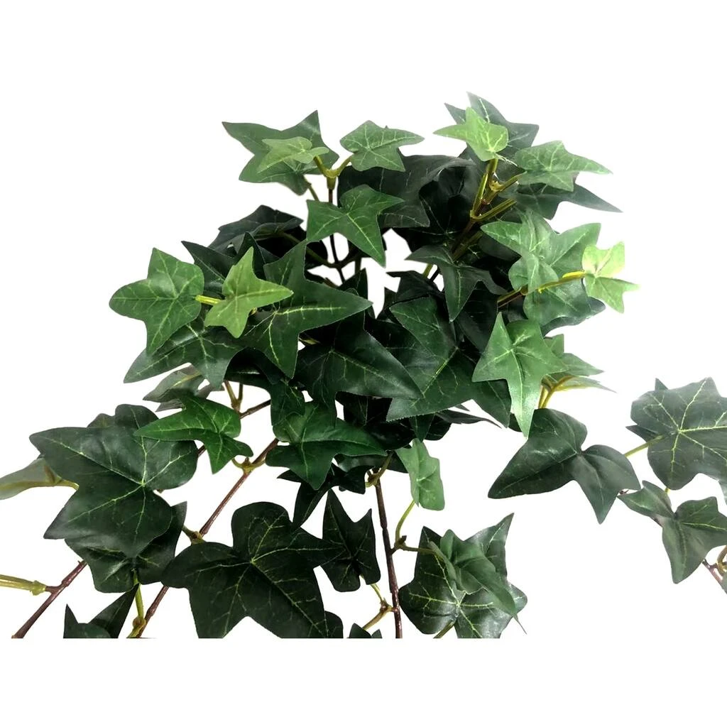 Outlet 💯 12 Pack: Assorted Mini English Ivy Bush by Ashland® 🔔 5 Outlet 💯 12 Pack: Assorted Mini English Ivy Bush by Ashland® 🔔 - Image 3