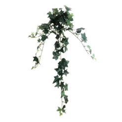 Outlet 💯 12 Pack: Assorted Mini English Ivy Bush by Ashland® 🔔 14 Outlet 💯 12 Pack: Assorted Mini English Ivy Bush by Ashland® 🔔 -Outlet Yuletide Joy Store MP308569 5
