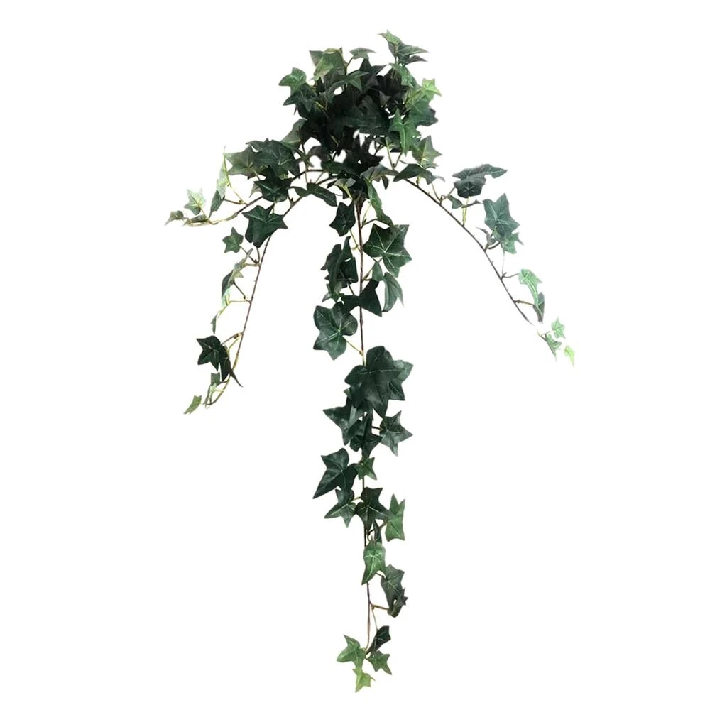 Outlet 💯 12 Pack: Assorted Mini English Ivy Bush by Ashland® 🔔 7 Outlet 💯 12 Pack: Assorted Mini English Ivy Bush by Ashland® 🔔 - Image 5