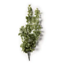 Buy 👍 8 Pack: Fittonia Hanging Bush by Ashland® 😉 -Outlet Yuletide Joy Store MP308882 21