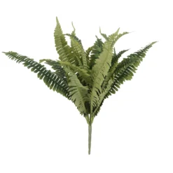 Hot Sale ✔️ 12 Pack: Boston Fern Bush by Ashland® 🛒