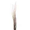 New 🔔 12 Pack: Natural Curly Willow by Ashland® ⭐ 1 New 🔔 12 Pack: Natural Curly Willow by Ashland® ⭐ -Outlet Yuletide Joy Store MP312272 1