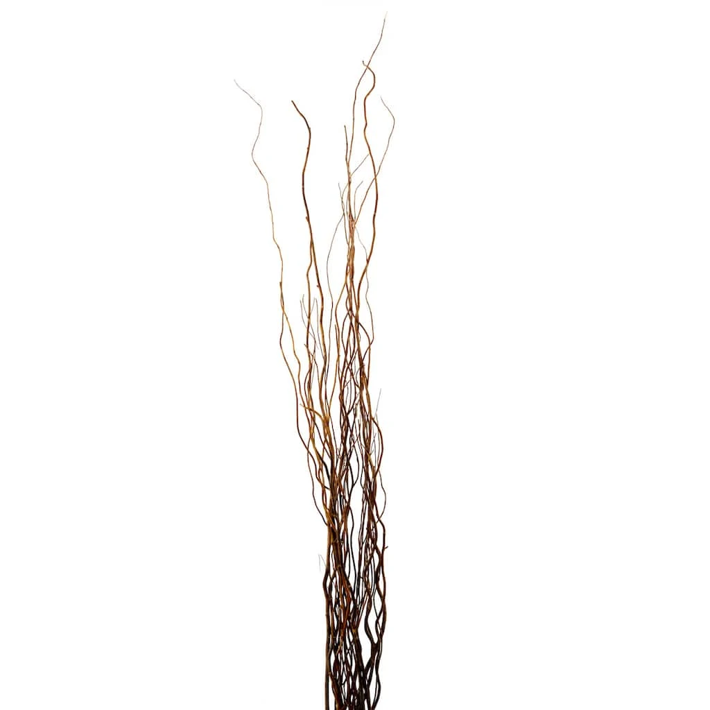 New π 12 Pack: Natural Curly Willow by Ashland® β 3 New π 12 Pack: Natural Curly Willow by Ashland® β