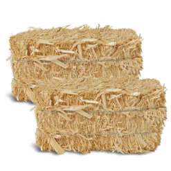 Best deal 👏 12 Pack: 2" Straw Bale by Ashland® ✔️