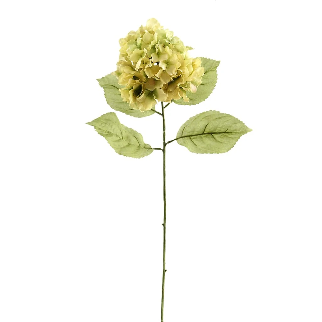 Budget ❤️ 12 Pack: Green Hydrangea Stem by Ashland® 😍 3 Budget ❤️ 12 Pack: Green Hydrangea Stem by Ashland® 😍