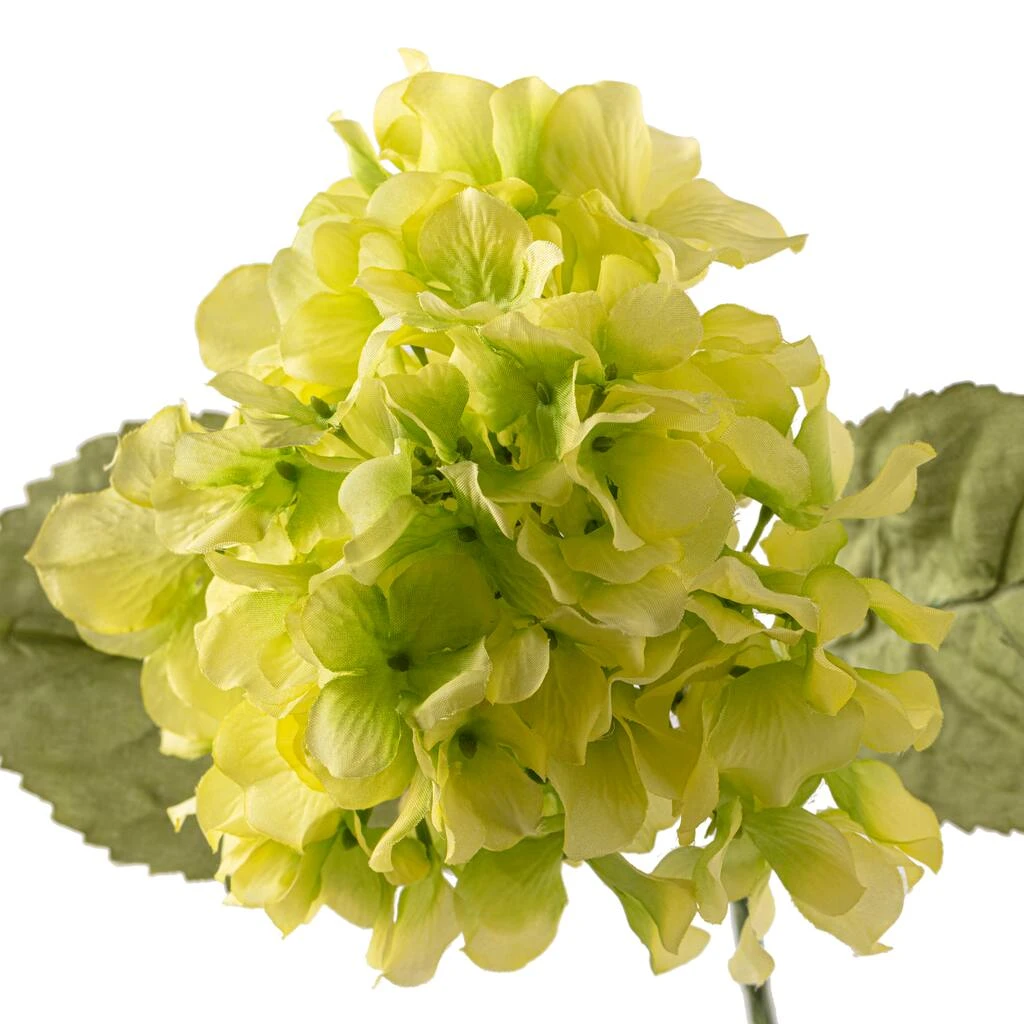 Budget ❤️ 12 Pack: Green Hydrangea Stem by Ashland® 😍 5 Budget ❤️ 12 Pack: Green Hydrangea Stem by Ashland® 😍 - Image 3