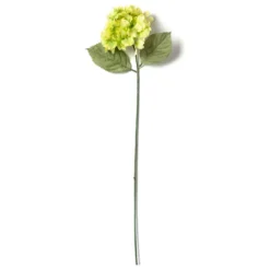 Budget ❤️ 12 Pack: Green Hydrangea Stem by Ashland® 😍 7 Budget ❤️ 12 Pack: Green Hydrangea Stem by Ashland® 😍 -Outlet Yuletide Joy Store MP328156 21